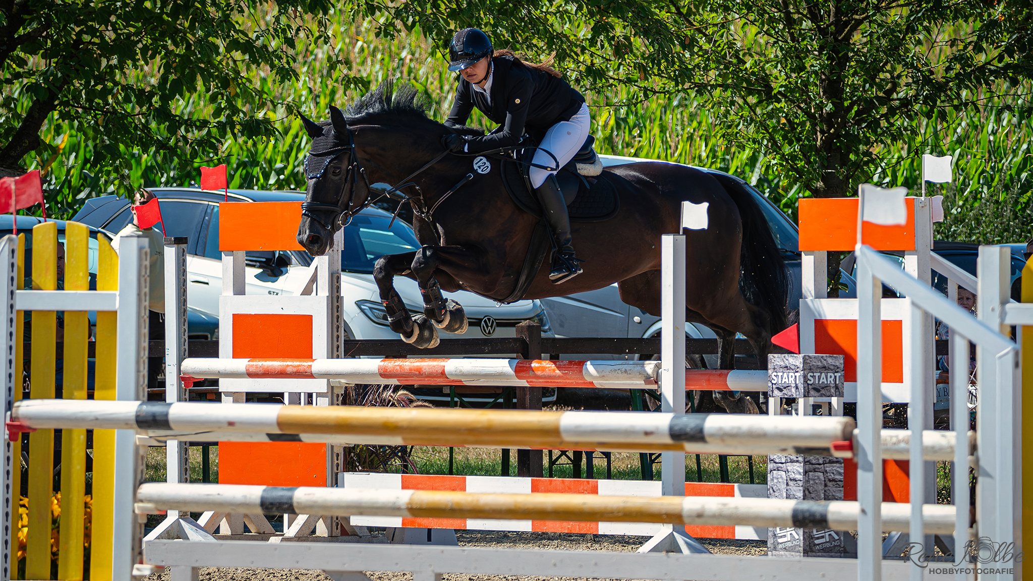 Springturnier Ronneburg - Martha auf Daisy 1024